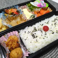 12月9日お弁当|鈴木さとしさん