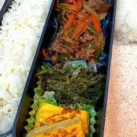 2025.12.09|asumamaさん