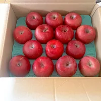 長野のりんご🍎|きらさん