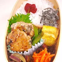 12/9 いつもの弁当|ペイたさん