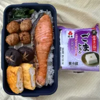 鮭弁当|ヒグッチさん