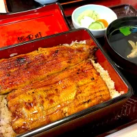 うな重 上|かぬさん