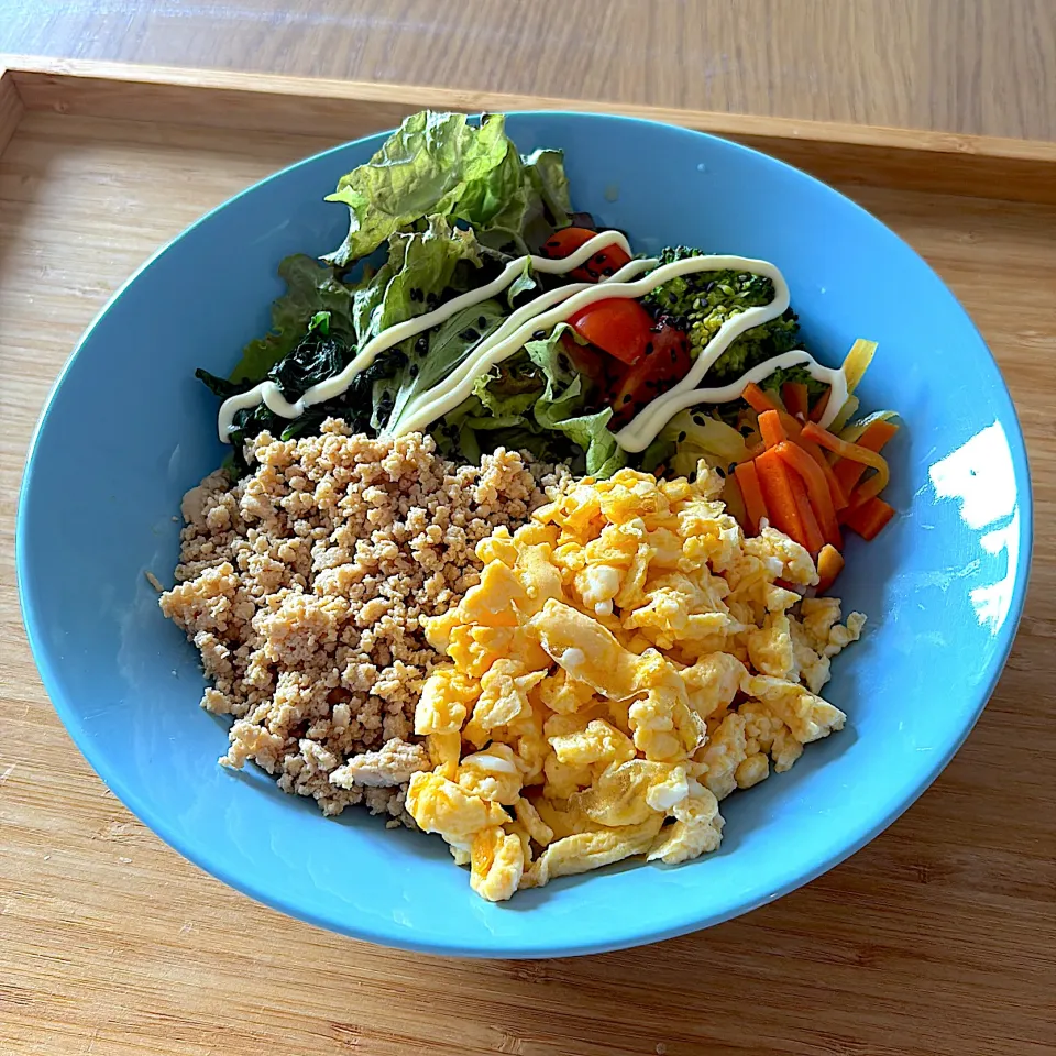 そぼろランチ|☺︎Forestさん