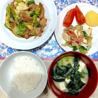 回鍋肉ときゅうりとカニカマサラダ|おしゃべり献立さん