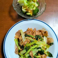 豚肉とターサイの炒め物|ぱやさん