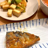 鯖の味噌煮 & 厚揚げと青梗菜の炒め物|ぺろたんさん