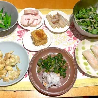 火曜日の居酒屋|ビューリップさん