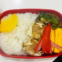 シューマイ弁当🍱|ちはるさん