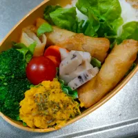 春巻き弁当|アボカド🥑さん