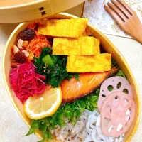 お弁当|BVY＊さん