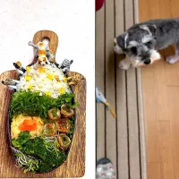 肉巻きピーマンとたらもグリル弁当|cafe3733さん