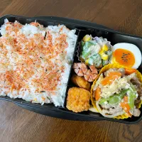 豆腐チャンプルー弁当| kiicoさん