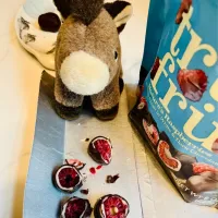 2025/12/9   チョコレートがけ冷凍ラズベリー   Frozen Raspberries Dipped in Chocolate