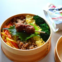 2025.12.10 　そぼろ弁当🍱|na---n2846さん