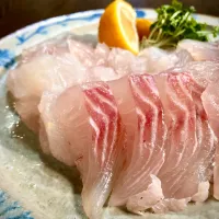 イシガキダイ&カワハギ