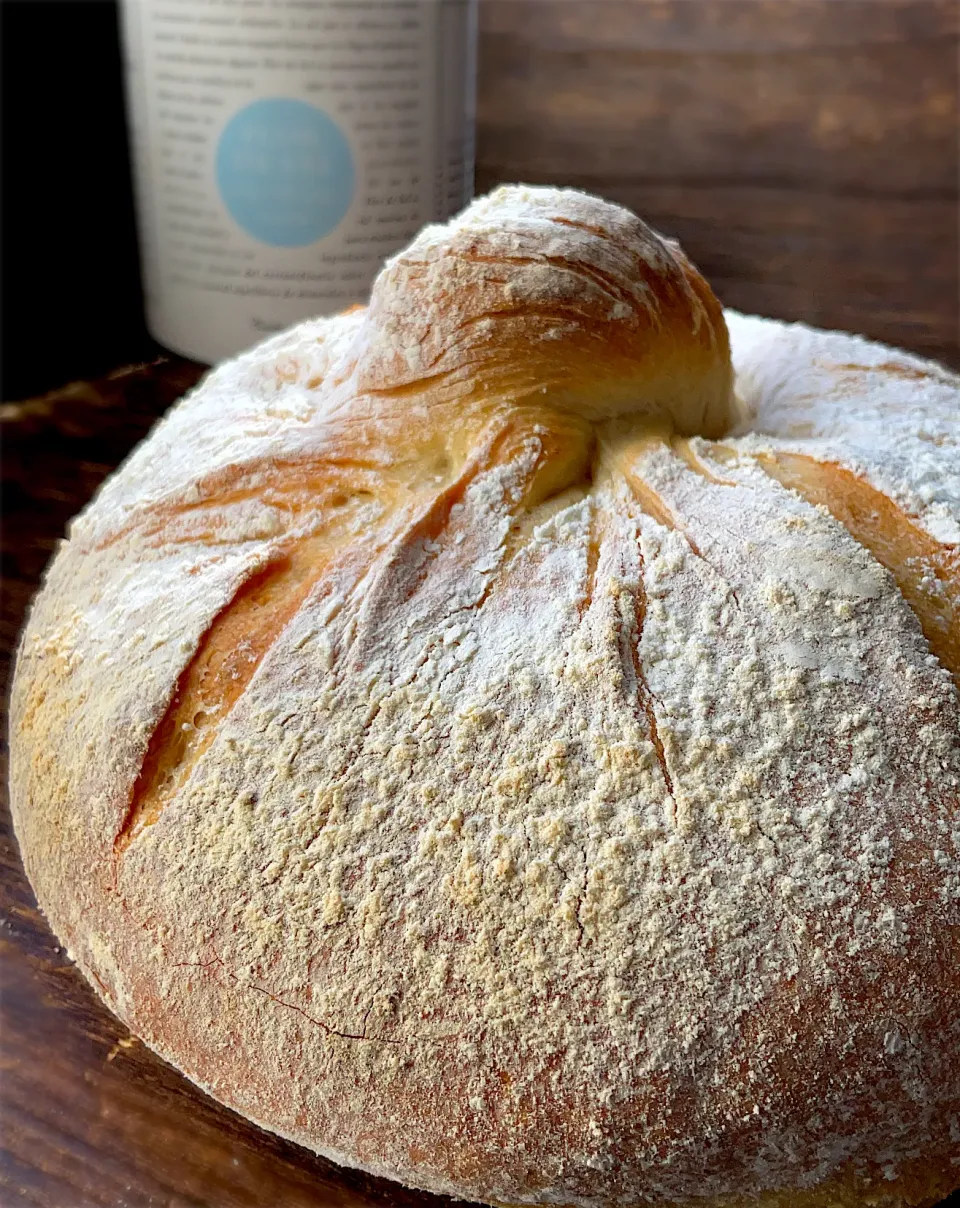 Pan Gallego／ガリシアパン|9421beruさん