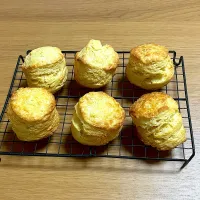 ホットビスケット|sachi ＊さん