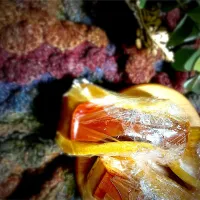 プリンハンドケーキ|U・x・Uchokoさん