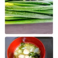 野菜たっぷり身体へのご褒美かき玉スープ( *´艸)