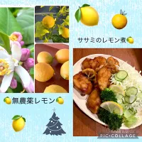 🍋ササミのレモン煮🍋| きみちさん