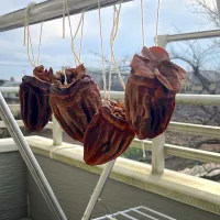 干し柿|sachi ＊さん