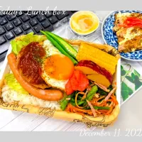 🍽️🇩🇪 ハンバーグ弁当 🇺🇸🍽️|TakeBooさん