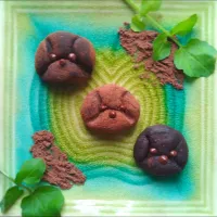 ココアボールわんこ|きこりnoteさん