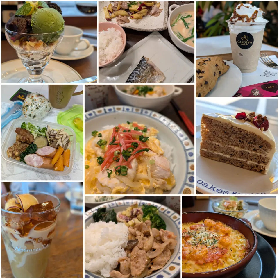 【10月・11月】おまとめあれこれ〜|ちょこさん