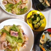 みったんさんの料理 イカとキャベツのパスタの味付けで竹輪かさ増し、炒めのおかずにした夜ごはんメニュー