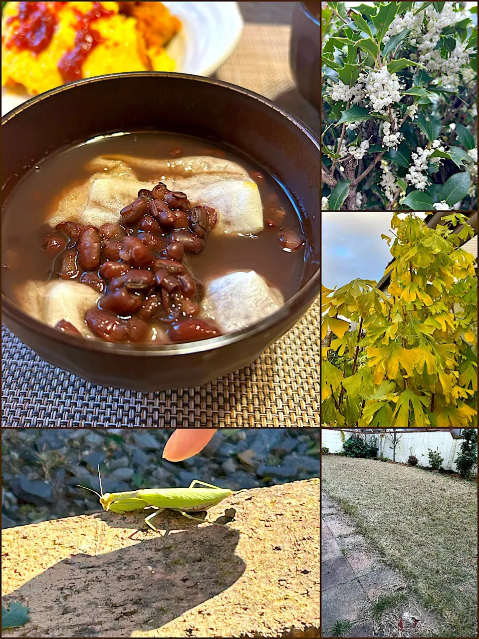ぜんざい|まなまな♡さん