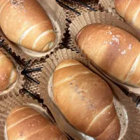 トリュフ塩パン|おしみさん