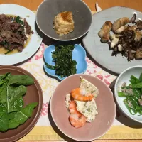 木曜日の居酒屋|ビューリップさん