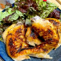 #手羽先グリル|トリさん