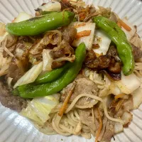 半田めんの塩カツオ出汁焼きそば| tatsuponさん