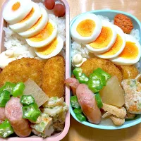 ゆで卵べんとー|まつさん