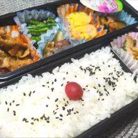 今日のお弁当|鈴木さとしさん