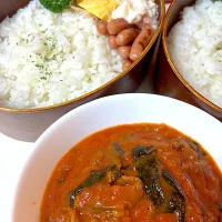 牛肉と法蓮草のトマト煮込みポット弁当|KUMIさん