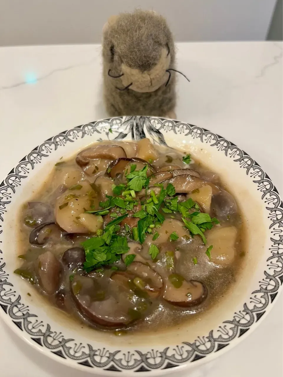 2025/12/11   干し椎茸のスープ　Shiitake Mushroom Soup|21 Boys & 野鳥さん