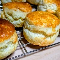 スコーン|にゃん(=^・^=)さん