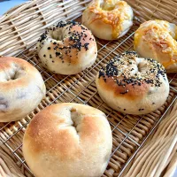 ＊ブルーベリークリチベーグル
＊さつまいもごまベーグル
＊チーズベーグル|さっちんさん