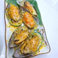 芝士青口😽|Fan Fannyさん