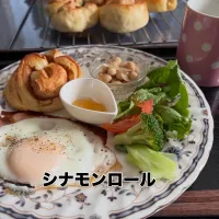 シナモンロール|いのっちさん