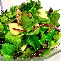 Leafy Green Salad with Apple Cider Vinaigrette|gonbenさん