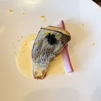 |ただの栄養士さん