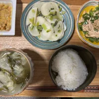 | そうめがさん