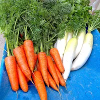 お野菜|みーこさん