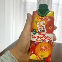 今日の昼ご飯①  KAGOME  私のフルーツ これ1本  １日分のマルチビタミン|なびさん