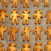 ジンジャークッキー🫚|ミコさん