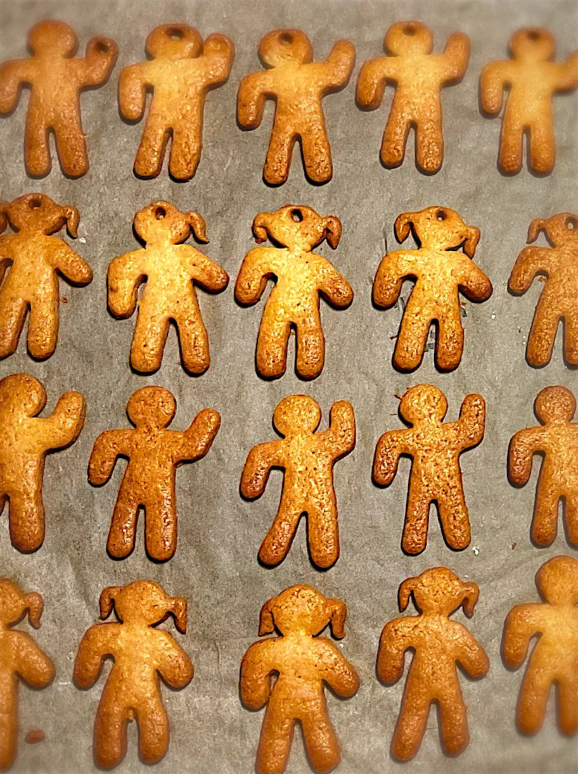 ジンジャークッキー🫚|ミコさん