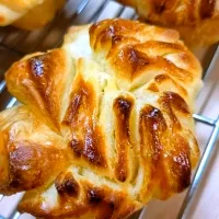 バターフレーキー🥐|にゃん(=^・^=)さん